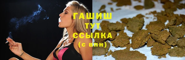 индика Инта